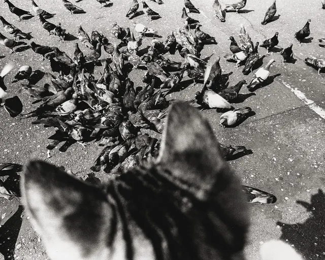 L'ossessione di fermare il tempo: Masahisa Fukase
