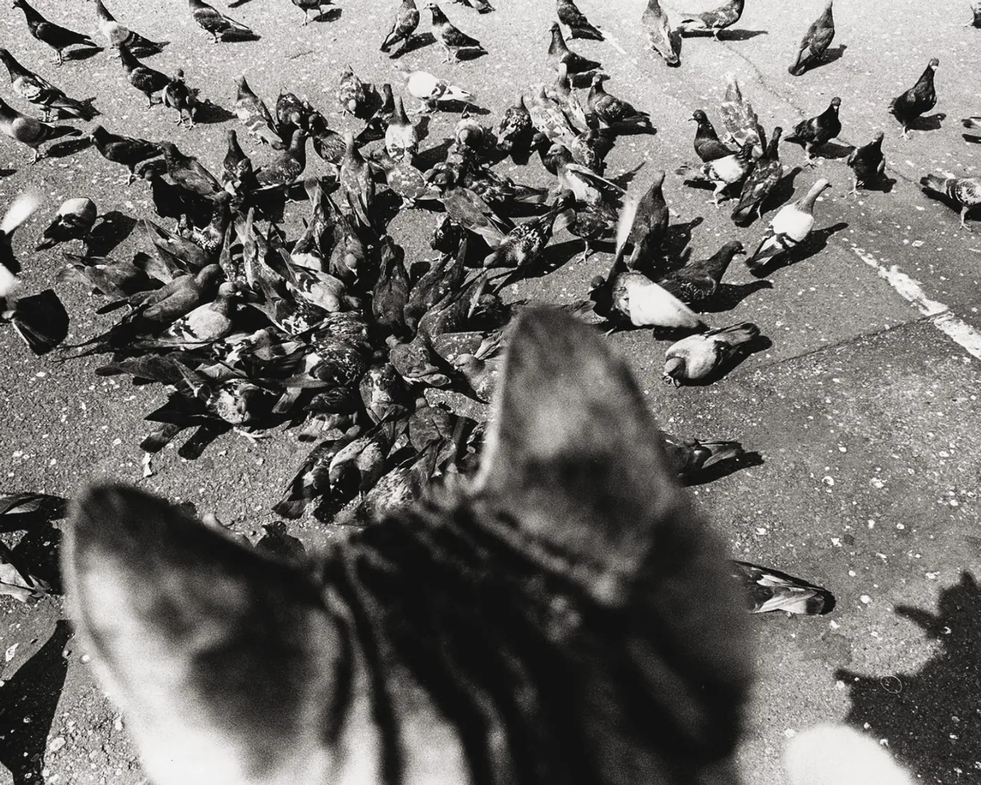 L'ossessione di fermare il tempo: Masahisa Fukase